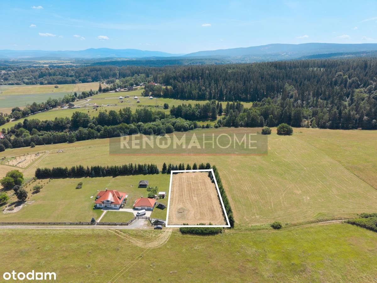 Działka / Wolany / - Pełny obrazek: 5/9