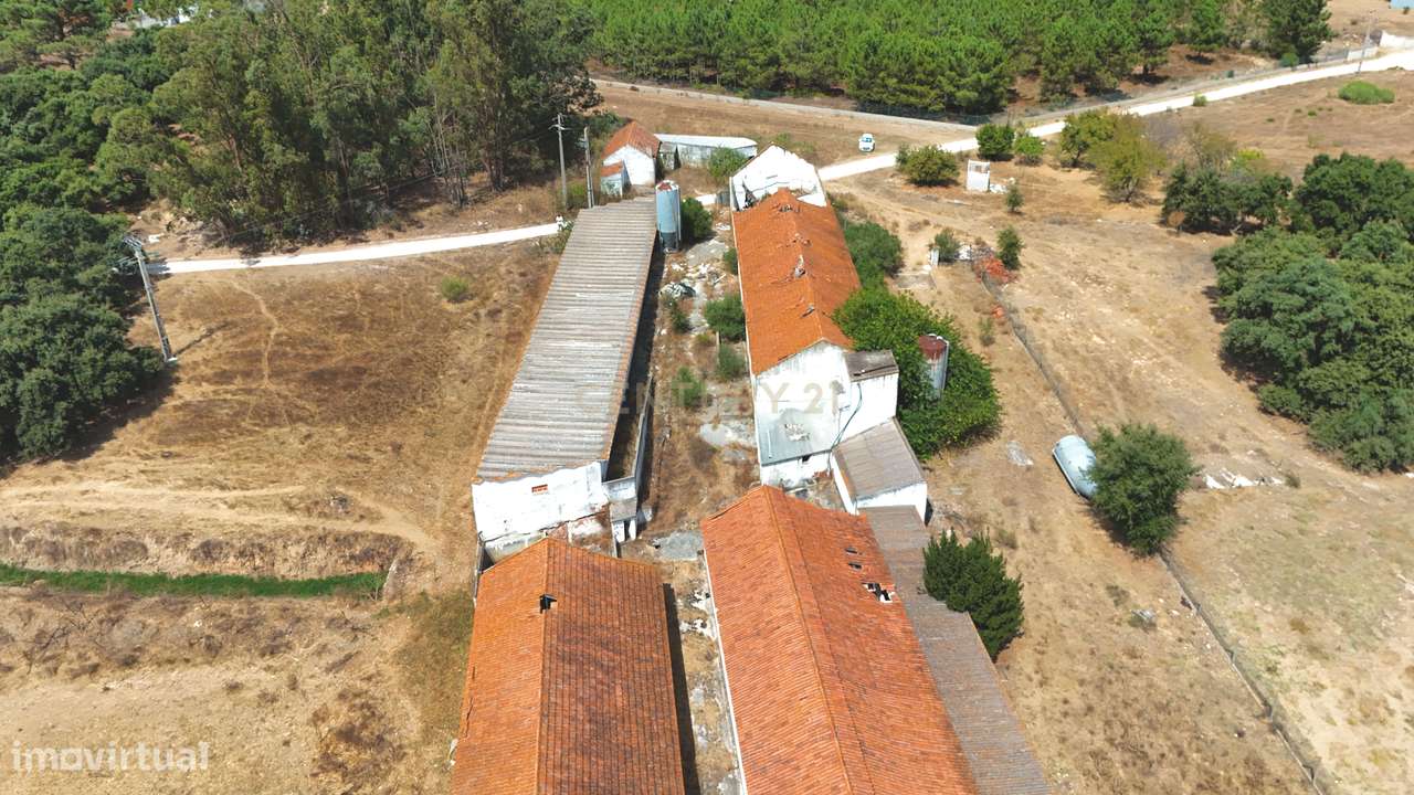Terreno Industrial na Quinta do Anjo - Grande imagem: 3/24