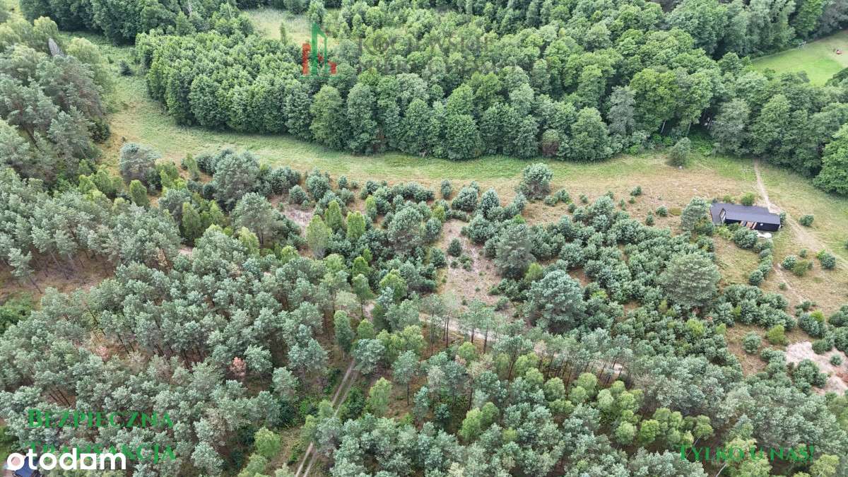 Działka w Borach Tucholskich – Zimne Zdroje - Pełny obrazek: 5/7