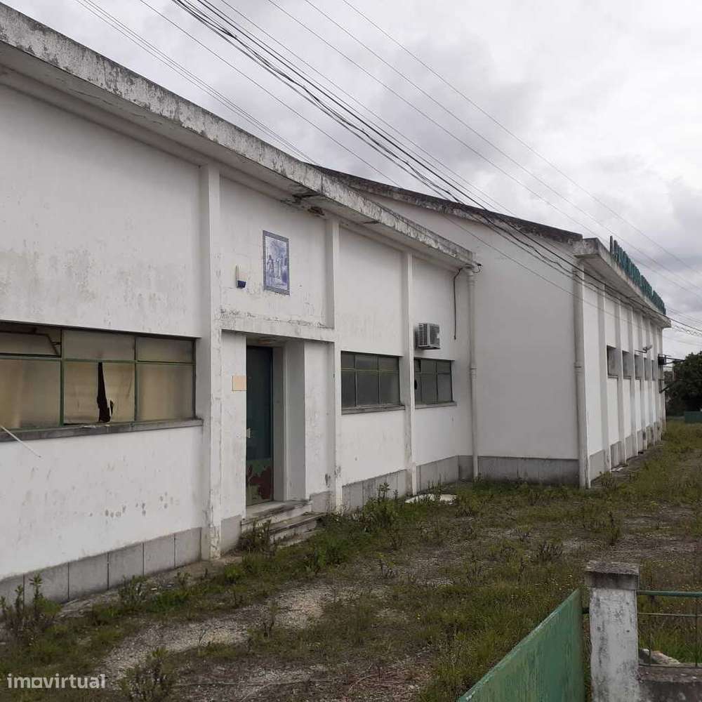 Armazém Industrial - Santarém/Alcanhões - Grande imagem: 2/19