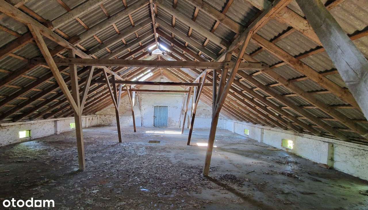 26 hektarów gruntów przy drodze wojewódzkiej, media - Pełny obrazek: 5/9