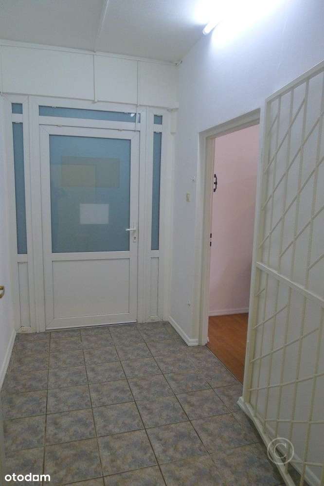 50m2, I piętro, centrum Zgierza, pod działalność - Pełny obrazek: 5/9