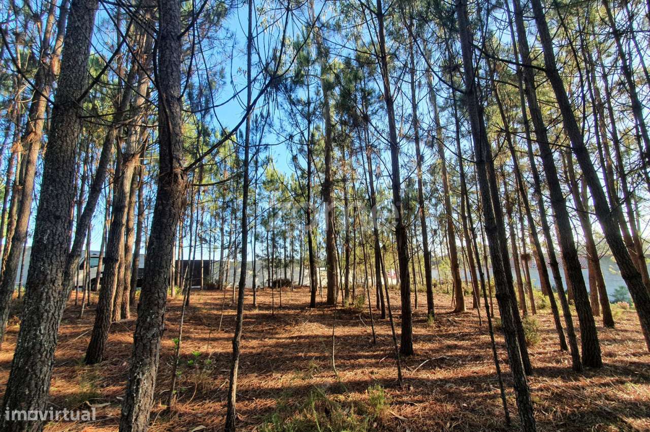 Terreno Rustico - Grande imagem: 3/15