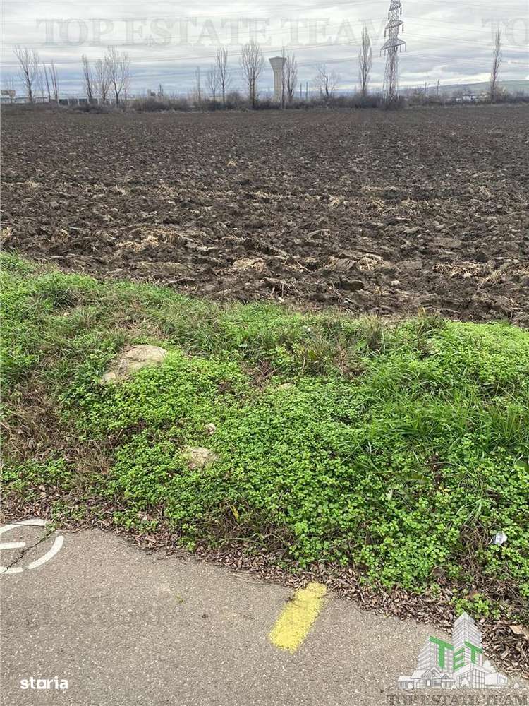 Teren Extravilan in Prahova-4