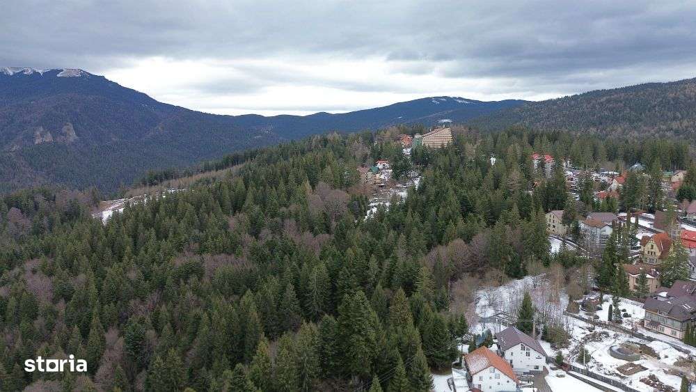 Teren intravilan 3.500 mp Cioplea - Predeal - Imagine principală: 4/7