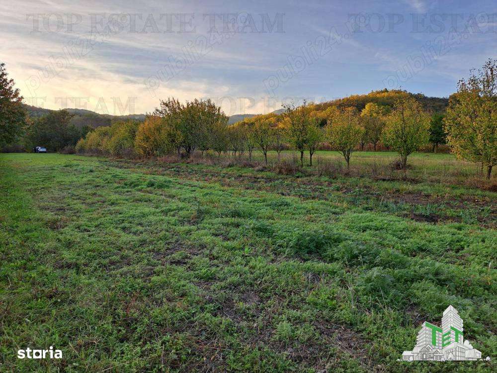 Teren de vanzare  Maneciu Pamanteni - Imagine principală: 5/6
