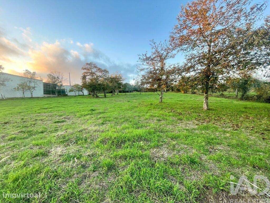 Terreno em Povolide de 8415,00 m2 - Grande imagem: 5/15