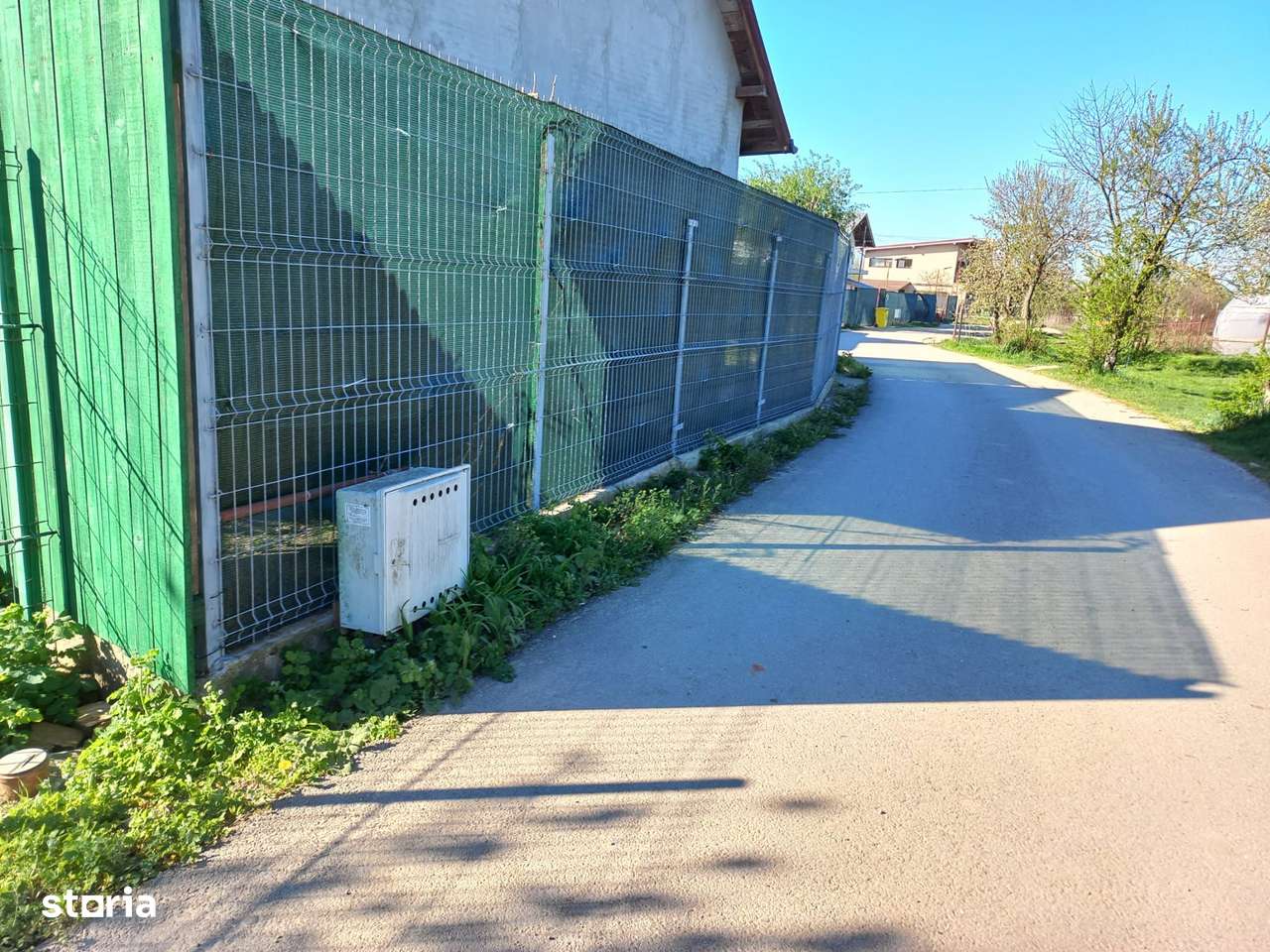 Teren intravilan 2927 mp - com. Domnesti sat Teghes - Imagine principală: 4/16