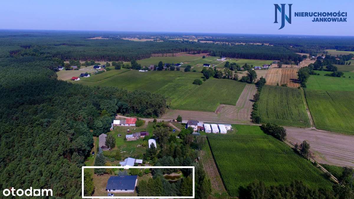 Parterowy dom tuż przy lesie/cisza/ Barłożna - Pełny obrazek: 5/20