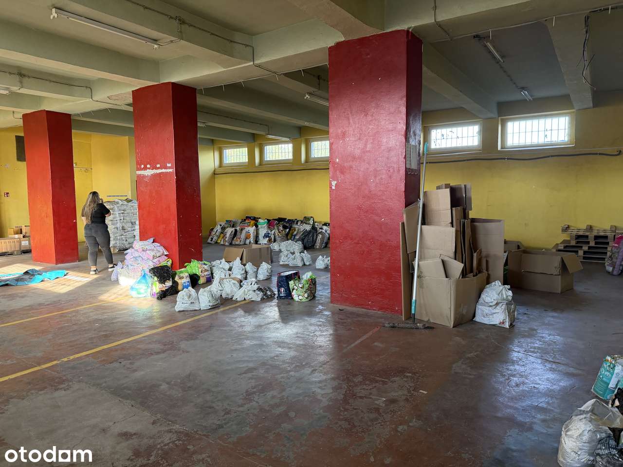 Magazyn, Hala 250m2 Blisko strefy, DTŚ, A1, A4