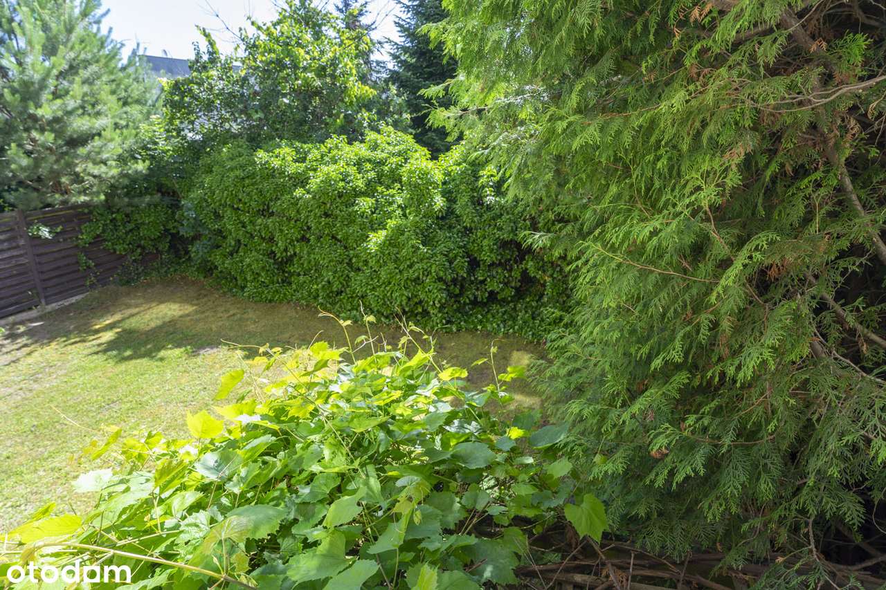 Do generalnego remontu | Potencjał aranżacyjny | Cicha okolica-6