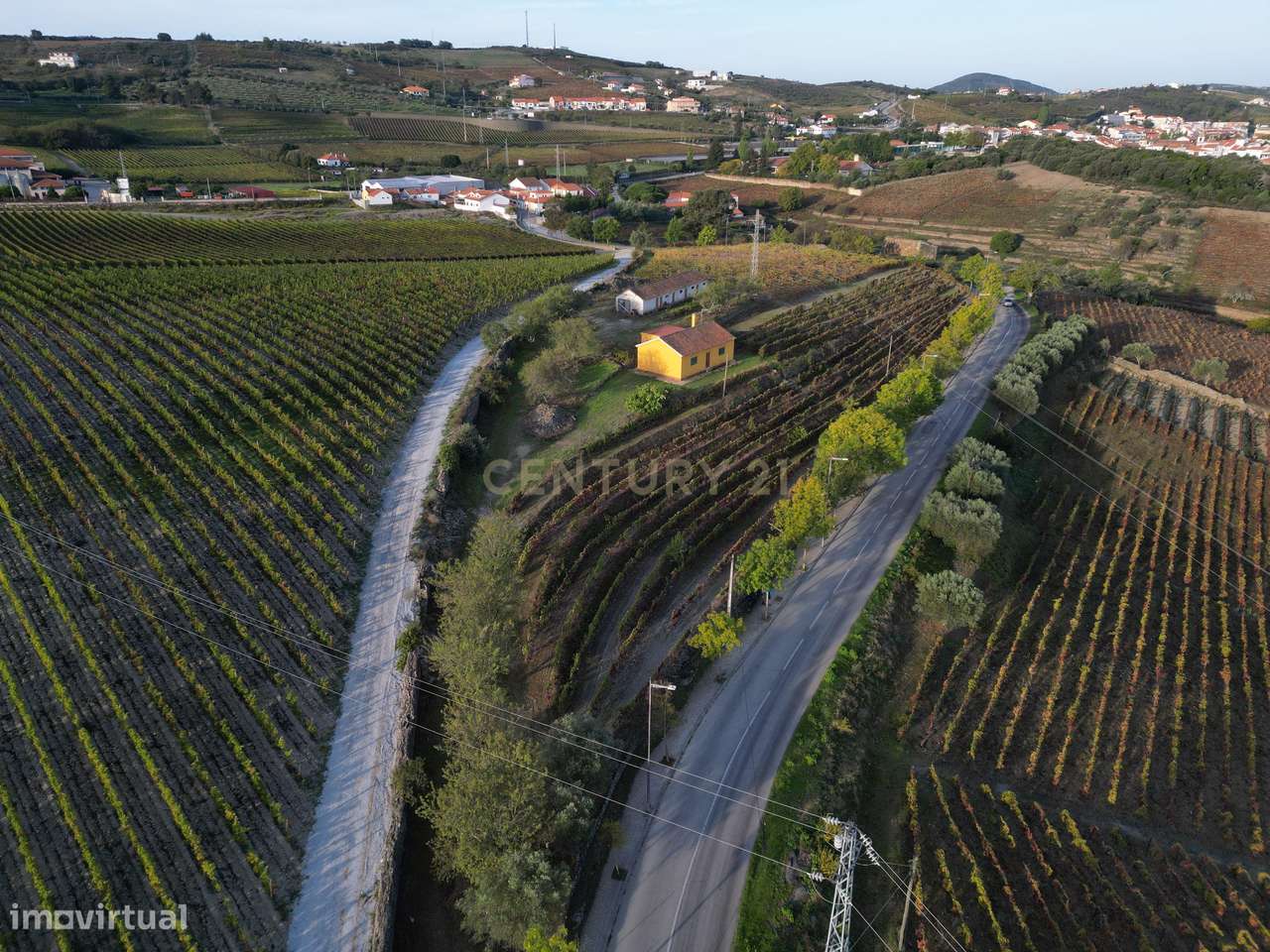 Quinta para Recuperar em Viseu - Oportunidade Única! - Grande imagem: 4/21