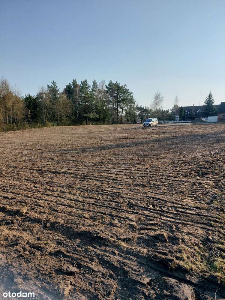 Działka budowlana z warunkami zabudowy 15025m2 w puszczy. "Kamińsko" - Pełny obrazek: 5/11