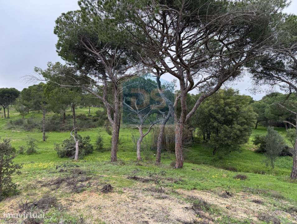 Terreno Rústico  Venda em Almancil,Loulé - Grande imagem: 4/11
