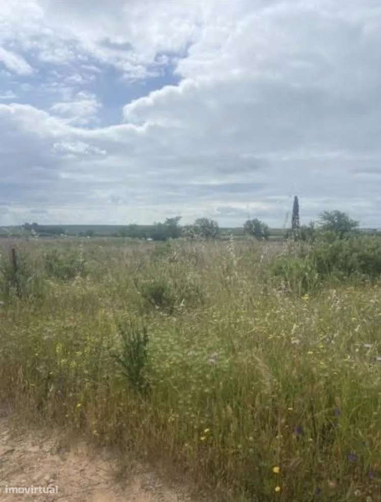 Terreno agrícola junto a Baleizão (IP8) no sentido Baleizão–Serpa - Grande imagem: 4/10