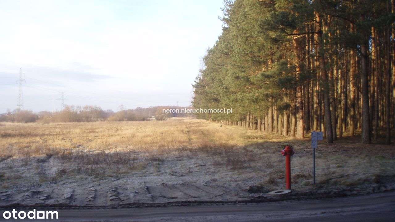 Działka, 2 569 m², Kruszyn Krajeński-3