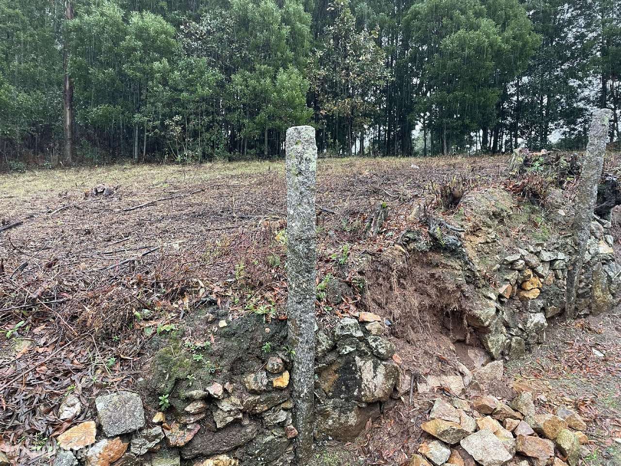 Terreno com 8.950 m² para Construção em Pedroso - Grande imagem: 3/13