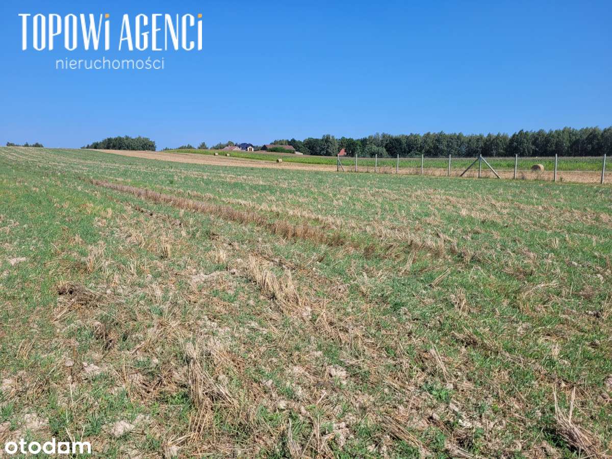 Działka nad rzeką,Park Kampinoski warunki zabudowy-19