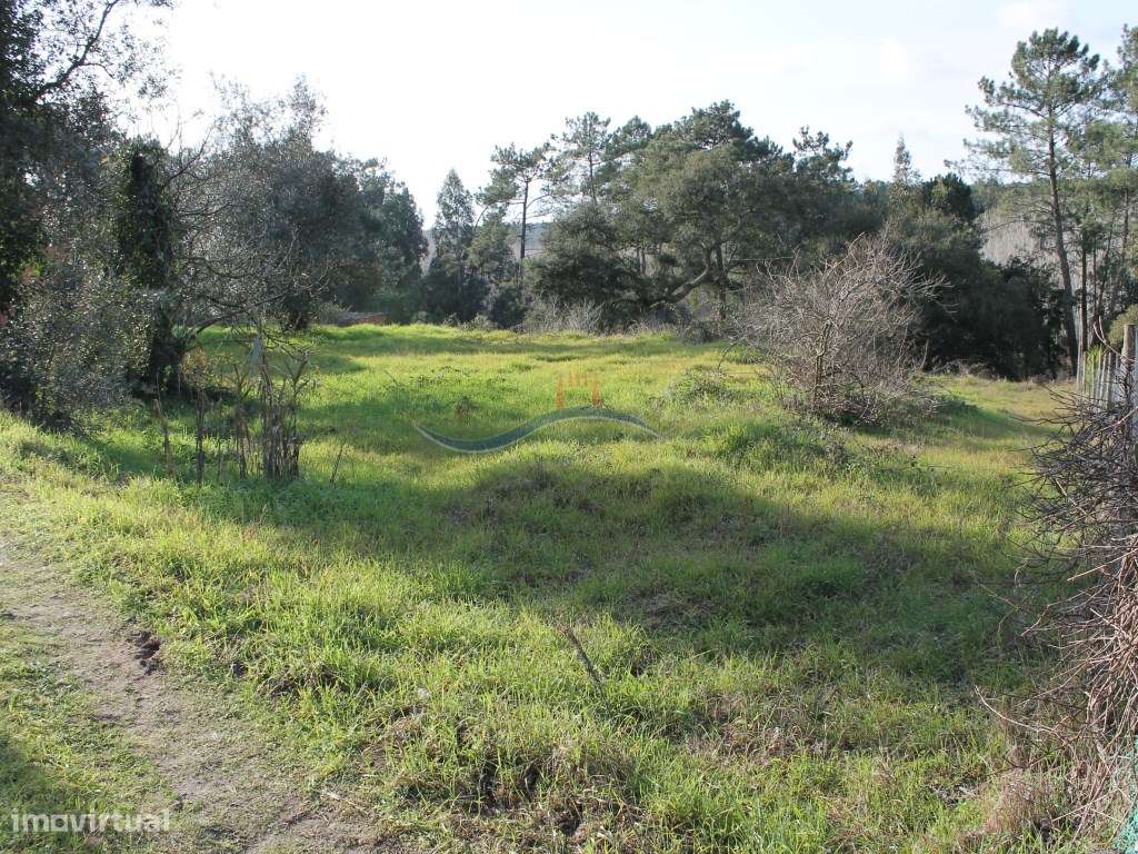 Terreno - Monte Redondo - Grande imagem: 3/6