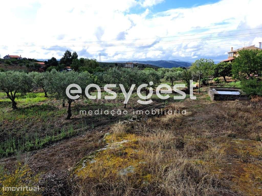 Terreno para construção na aldeia de Sequeiros, Torre de Moncorvo - Grande imagem: 1/20