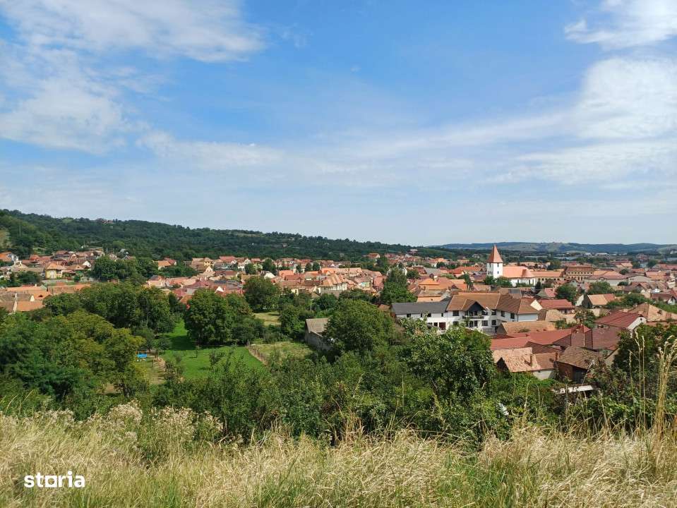 teren intravilan de vanzare in Saliste-5