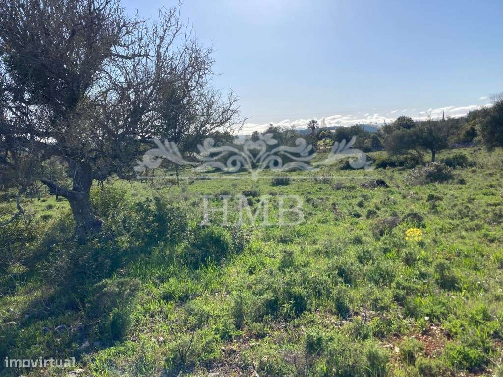 Terreno Rústico com 20701 m2 Próximo à Vila de Mexilhoeira-9