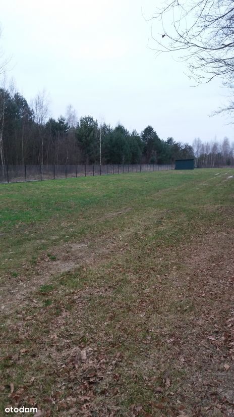 działka bud 3000m2 ogrodzona