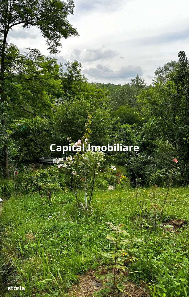 Casa Baicoi 95 mp Sc, 2578 mp teren - Imagine principală: 5/16