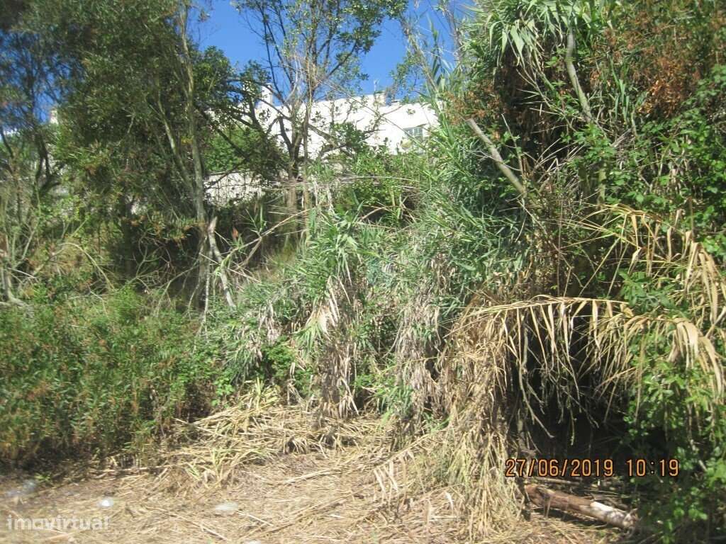 Terreno  c/ 10.000 M2 na Figueira da Foz-18