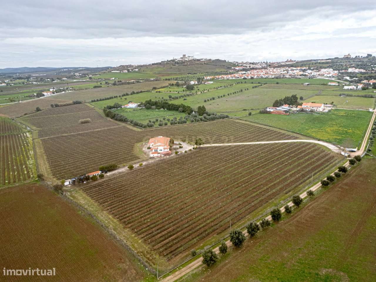 Descubra o seu Refúgio dos Sonhos no Alentejo! - Grande imagem: 3/33