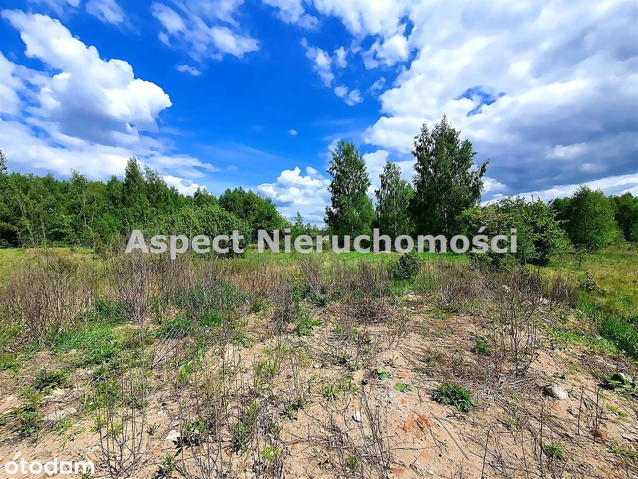 Duża działka Budowlana*mpzp*ignatki*juchnowiec K. - Pełny obrazek: 4/9