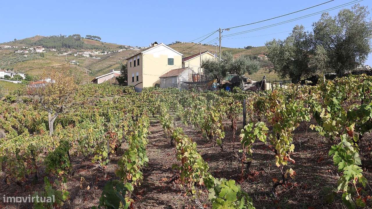 Terreno  para venda - Grande imagem: 5/9