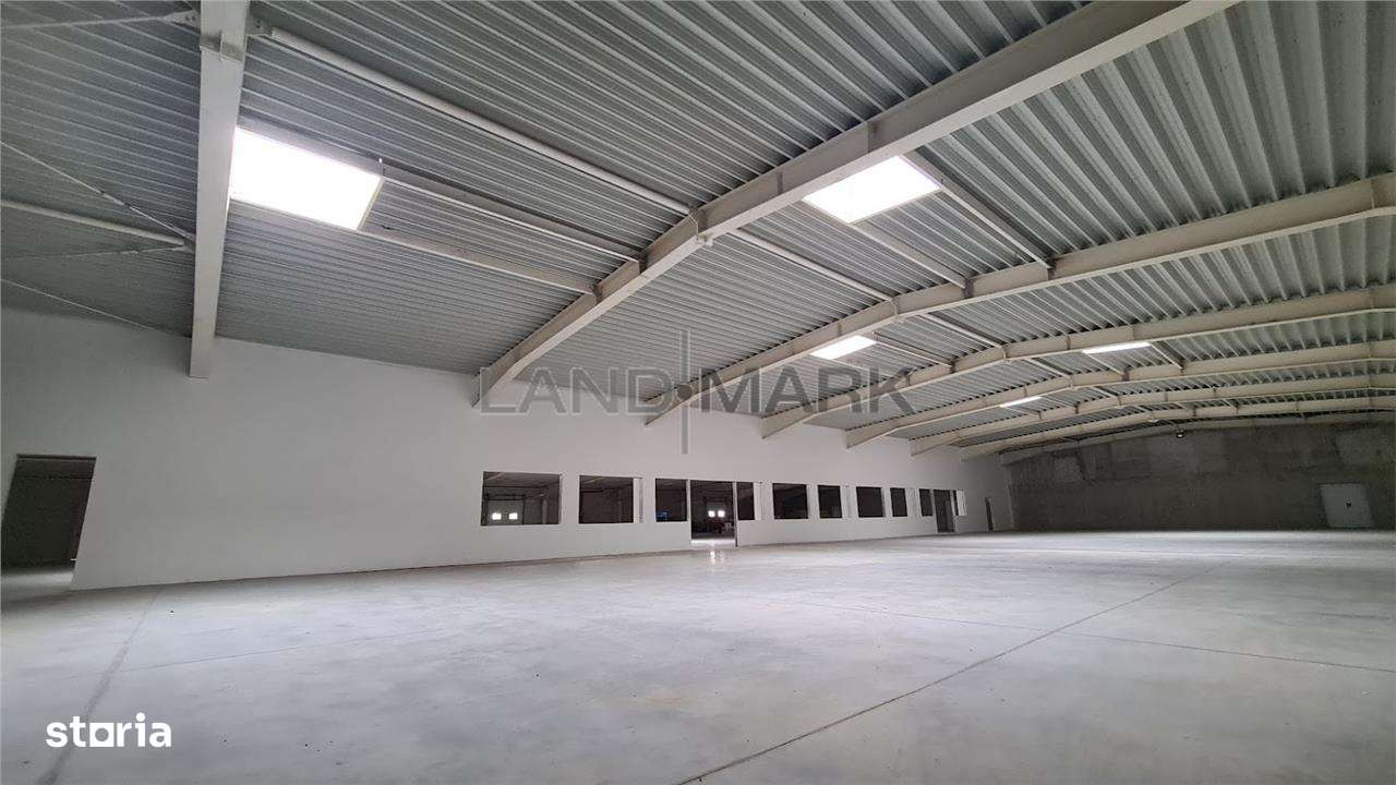 Hala productie de vanzare Timisoara - Exterior Nord-1
