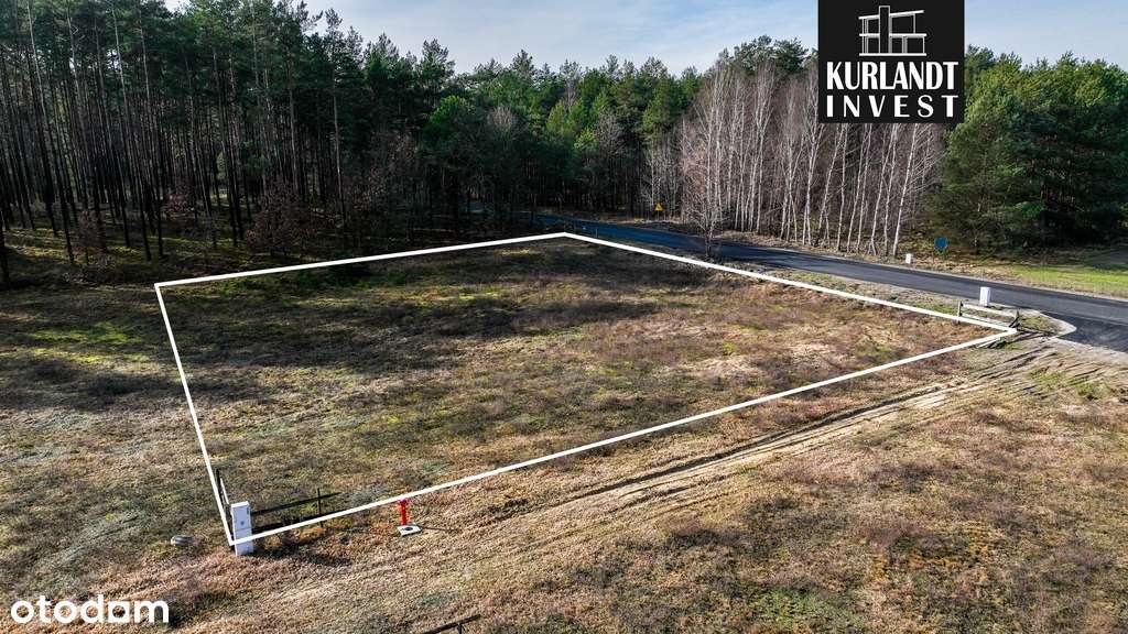 Działka 1.797 m² Brzozowe Błota Bory Tucholskie - Pełny obrazek: 5/9