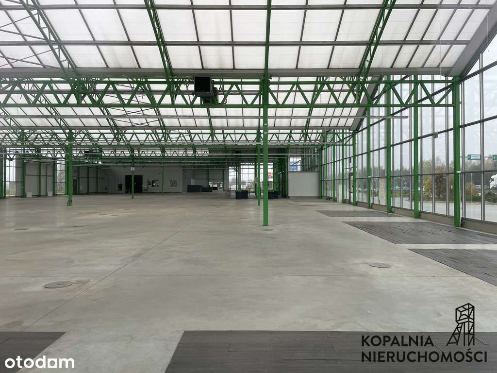 Obiekt Handlowy przy drodze krajowej - Pełny obrazek: 3/5