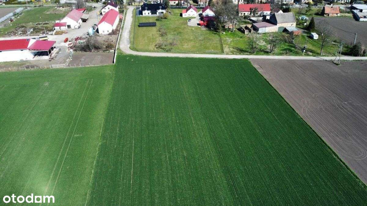 Działka budowlana Turów gmina Żurawina 1451m2 - Pełny obrazek: 5/7