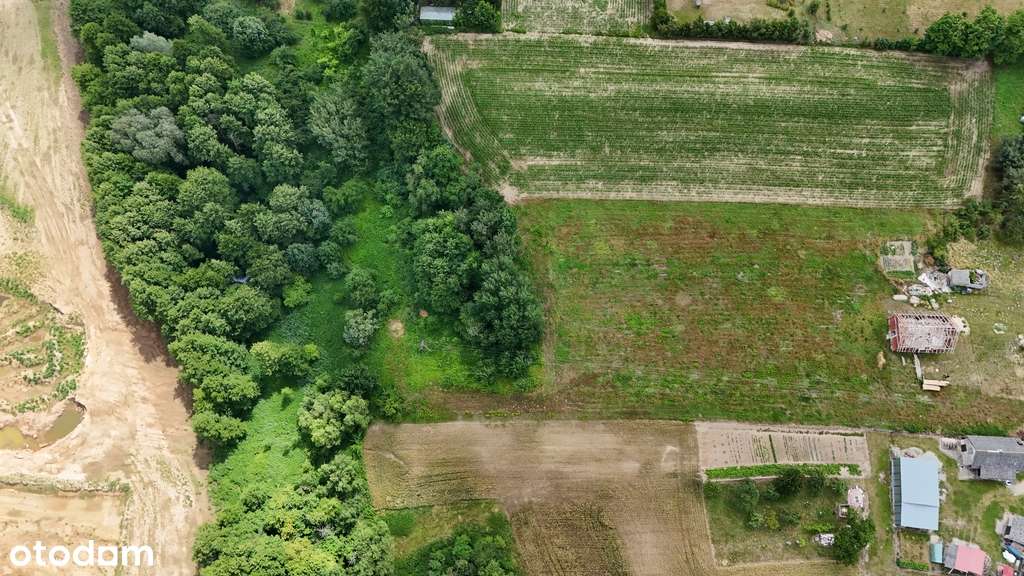 Miejscowość - Dobra. Działka wsród zieleni - Pełny obrazek: 4/12