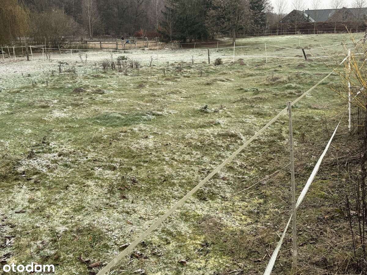 PoznaŃ, Strzeszyn, rezydencyjna, przy lesie - Pełny obrazek: 3/11