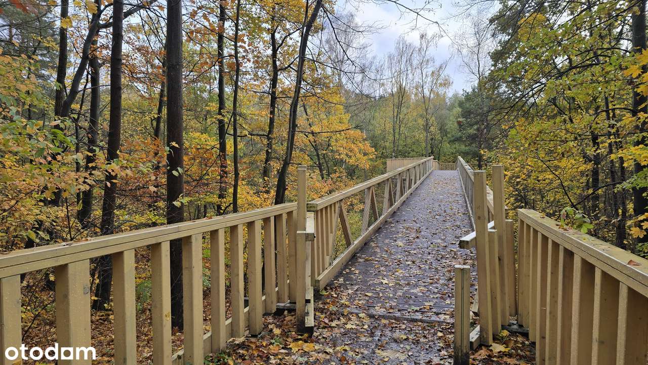 Kawalerka z aneksem sypialnianym i balkonem 35 m2 – przy Malcie-17