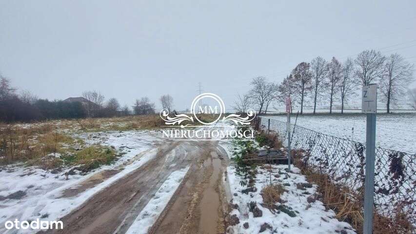 Koźliny-działki-spokojna okolica - Pełny obrazek: 5/7