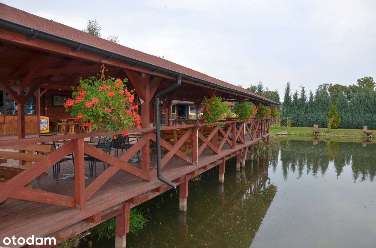 Obiekt Gastronomiczny - Łowisko I SmaŻalnia Ryb - Pełny obrazek: 4/15