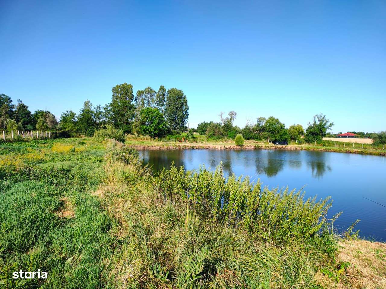 Teren 18.247 mp cu balta de pescuit – Misca, Comuna Chislaz, Bihor-5