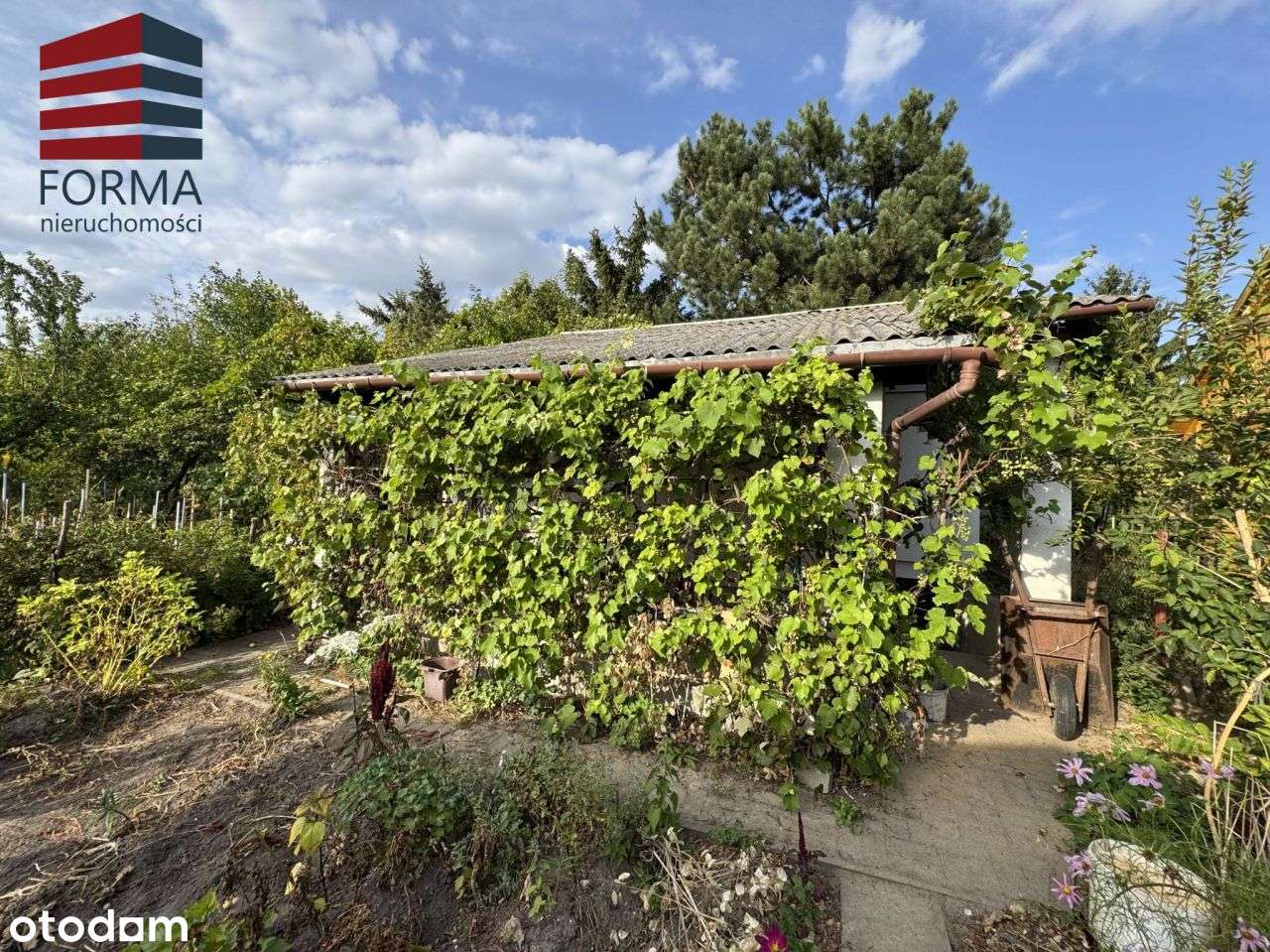 Atrakcyjna działka Rod Strzeszyn , domek murowany-13