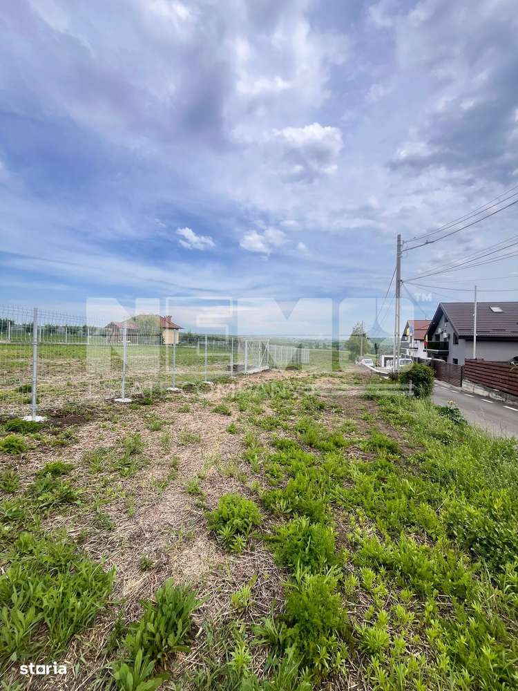 TEREN 34 ARI I SUCEAVA /MOARA I 2550 Euro/Ar - Imagine principală: 4/7