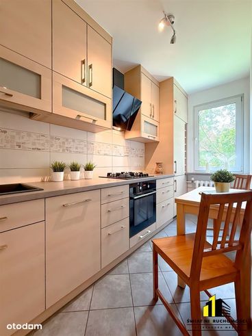 Mieszkanie 2 pokojowe|parter|balkon|po remoncie-3