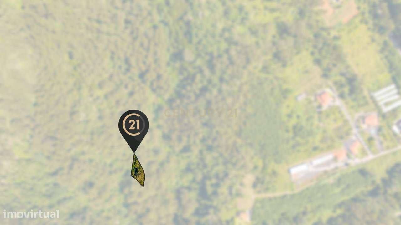 Terreno Rústico para Floresta Mista com 3.265 m2 - Santa Cruz, Madeira - Grande imagem: 3/12