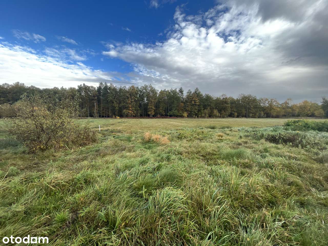 Nowoczesny dom parterowy 209m² z garażem, Gostyń-6