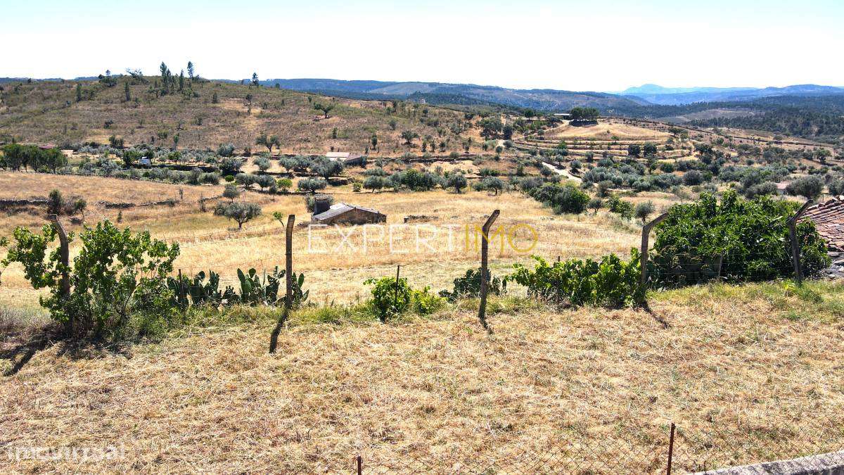 Terreno com 344 m2 - Pardo - Nisa-7