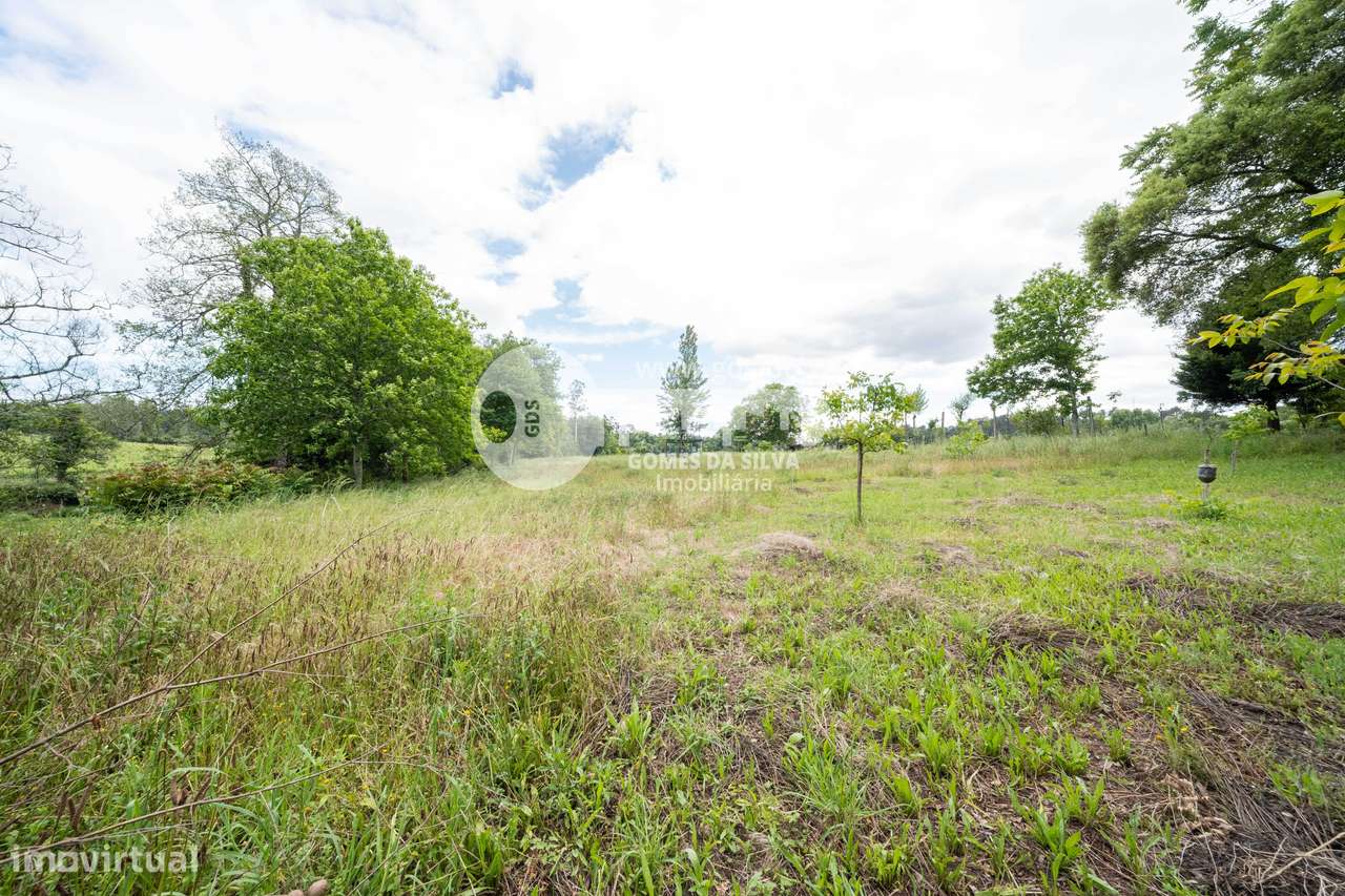 Terreno agrícola junto ao rio, Loureira, Vila Verde-10