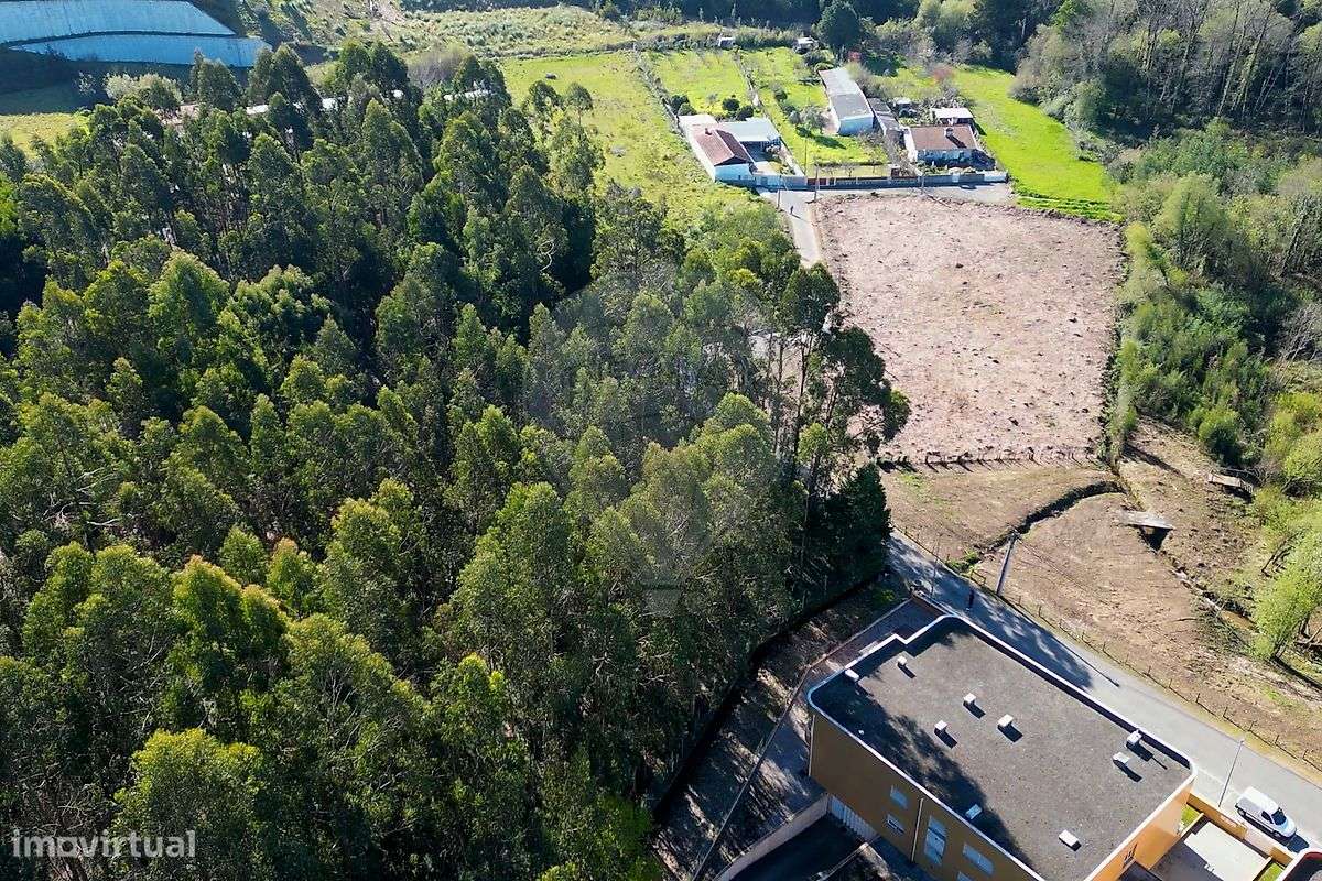 Terreno  para venda - Grande imagem: 4/14